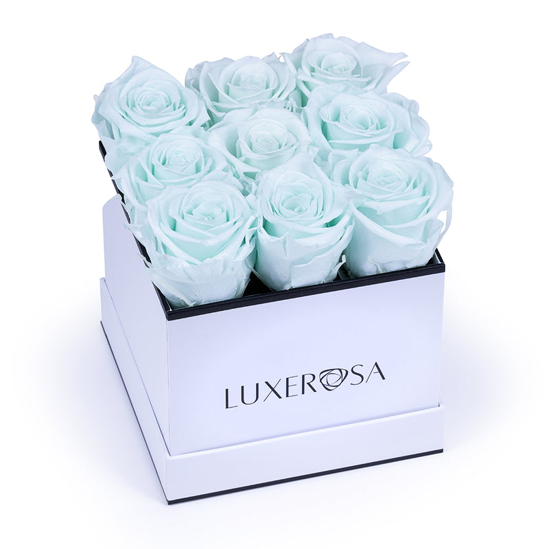 White, Medium Square Infinity Rose Box