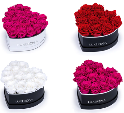 Rose Colour Meanings – What Colour Rose for What Occasion?