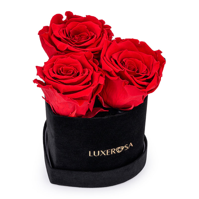 Black Velvet Suede, Small, Venus Heart Shaped, Eternity Rose Box With 3 Forever | Infinity | Eternal | Preserved Red Roses - LUXEROSA