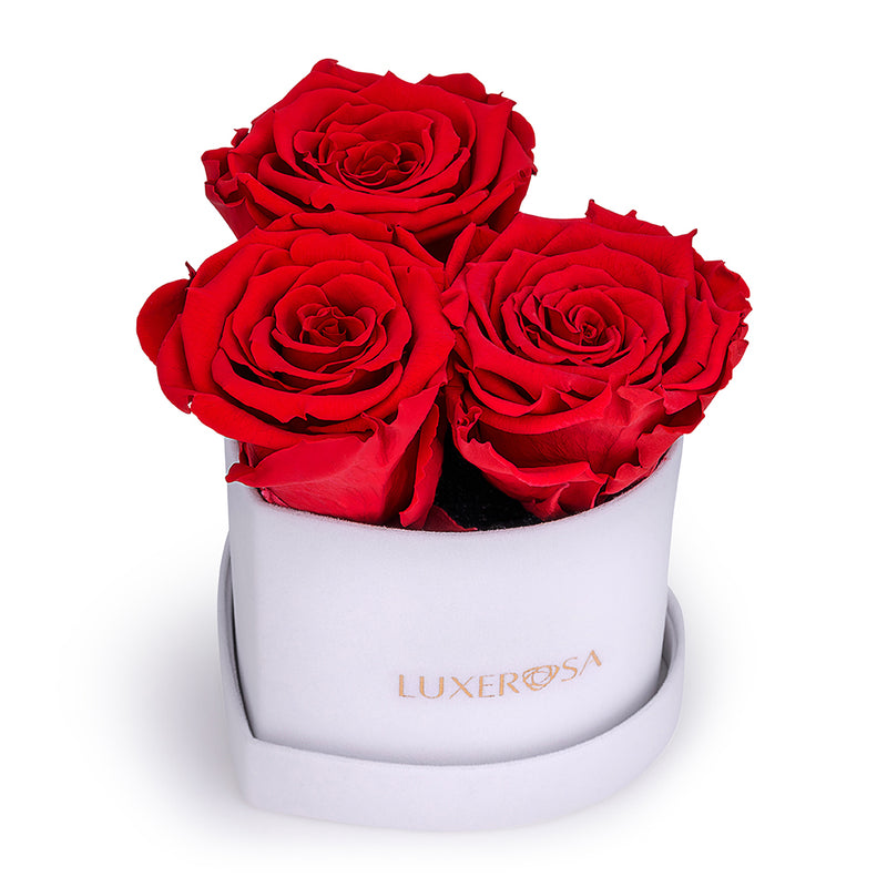 White Velvet Suede, Small, Venus Heart Shaped, Eternity Rose Box With 3 Forever | Infinity | Eternal | Preserved Red Roses - LUXEROSA