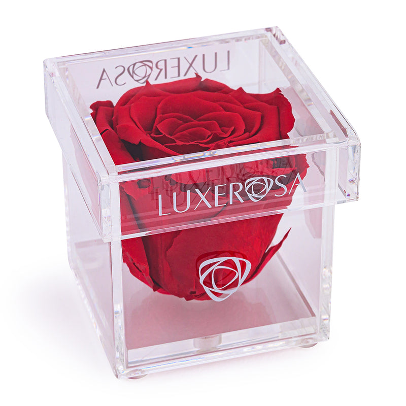 Single Forever | Eternal | Eternity | Infinity Rose in a Clear Acrylic Box - Red Coloured Preserved Rose to Last Years - Small - LUXEROSA