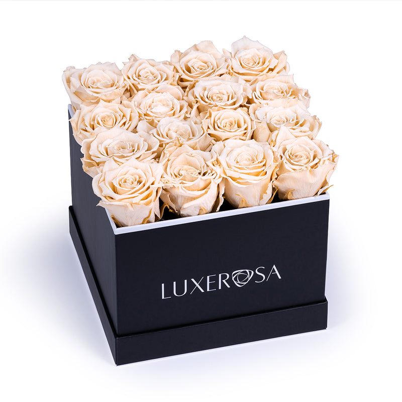 Black, Large Square, Infinity Rose Box