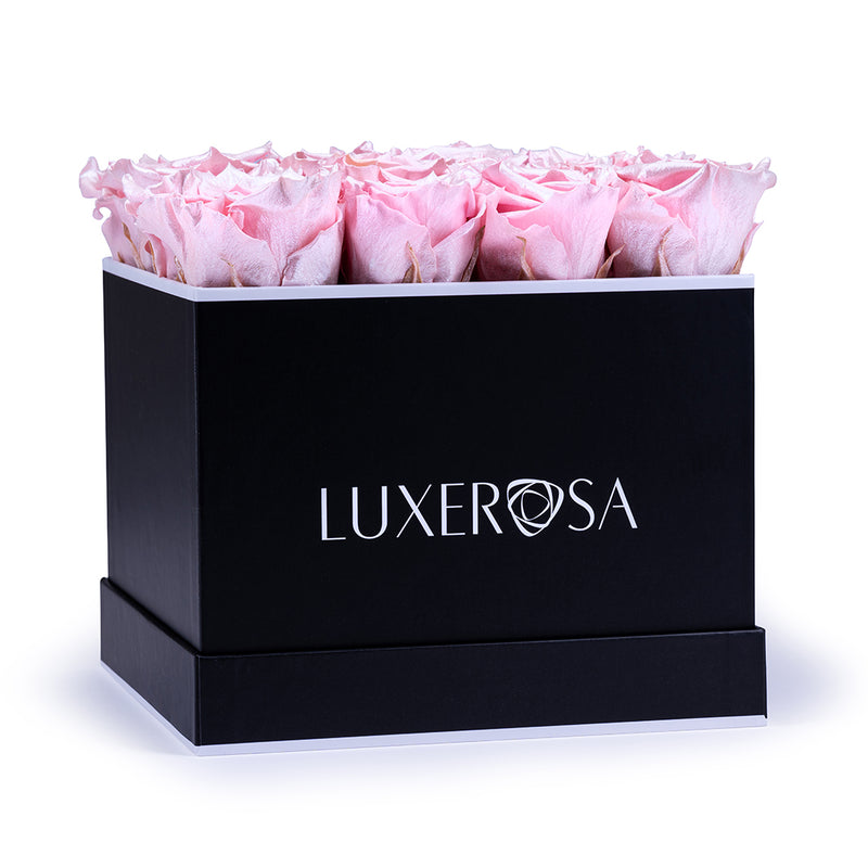 Black, Large Square, Infinity Rose Box