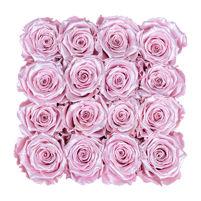 Black, Large Square, Infinity Rose Box