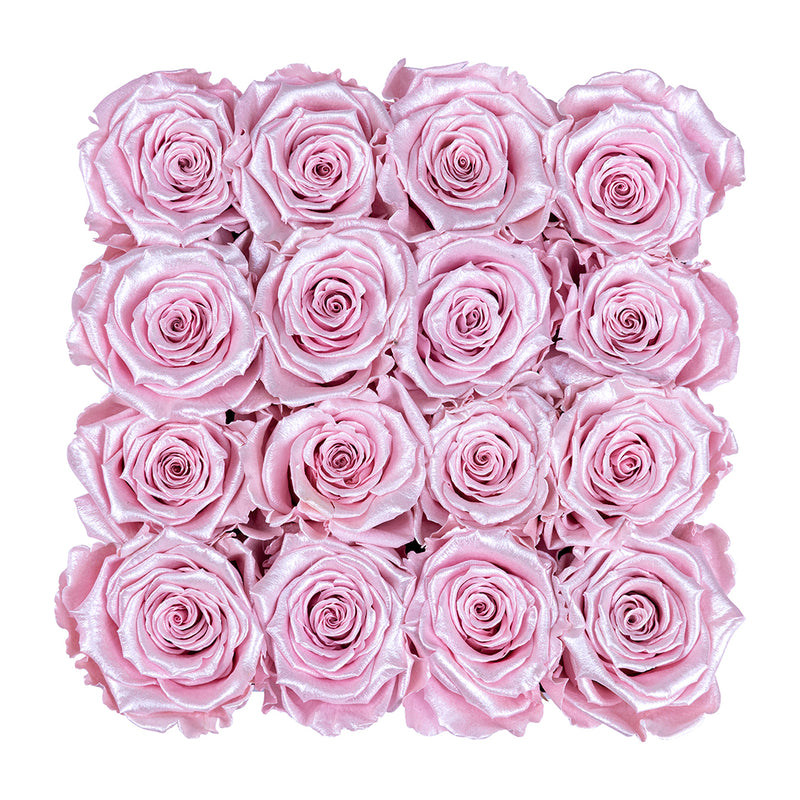 Black, Large Square, Infinity Rose Box