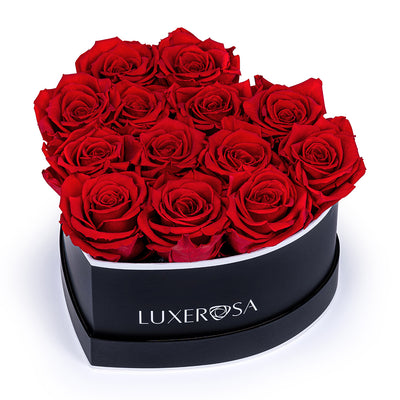 Preserved Roses That Last A Year in A Round Box Valentines Day Rose Box  Forever Flowers Roses Infinity Eternal Flower 