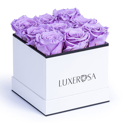 White, Medium Square Infinity Rose Box