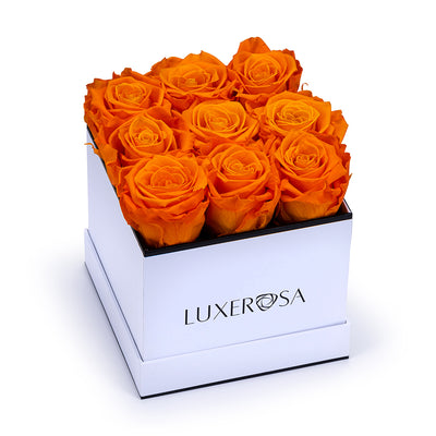 White, Medium Square Infinity Rose Box