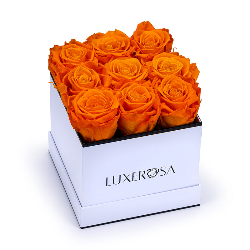 White, Medium Square Infinity Rose Box