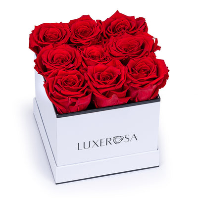 White, Medium Square Infinity Rose Box