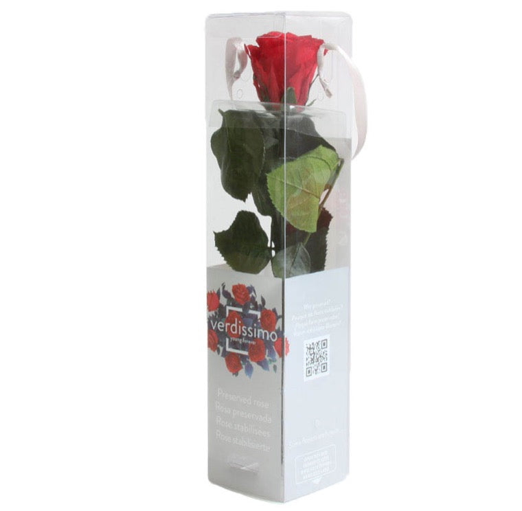 Single Forever Long Stemmed Infinity Rose In A Gift Box - Vibrant Red
