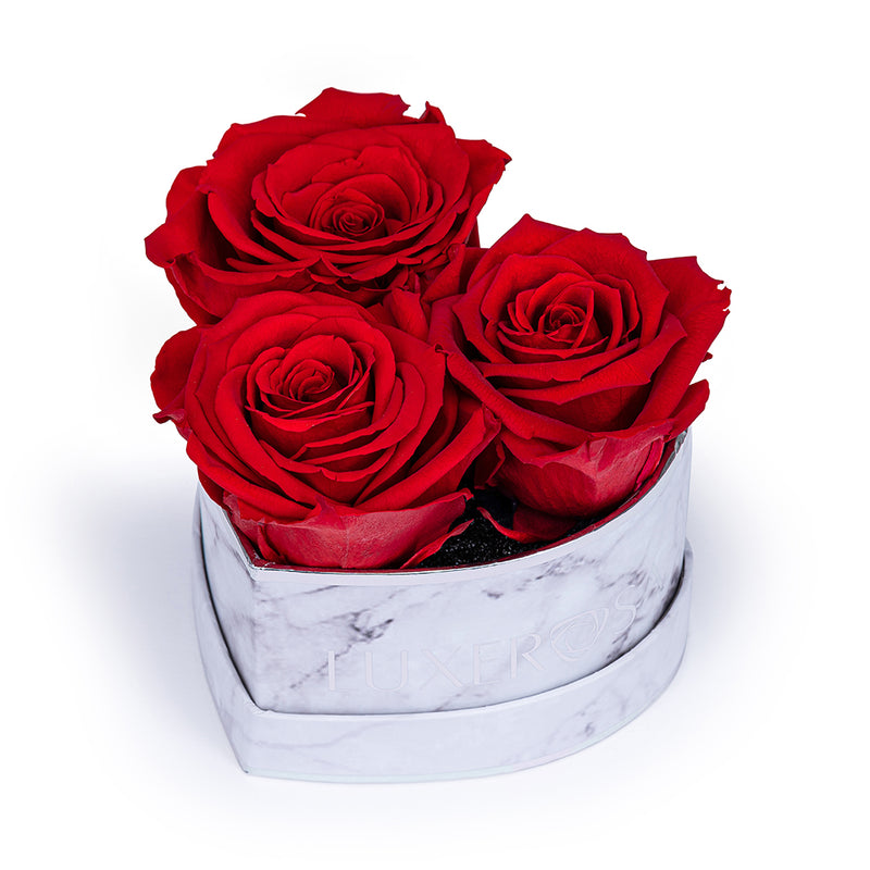 Small, Silver, Venus Heart Shaped, Eternity Rose Box