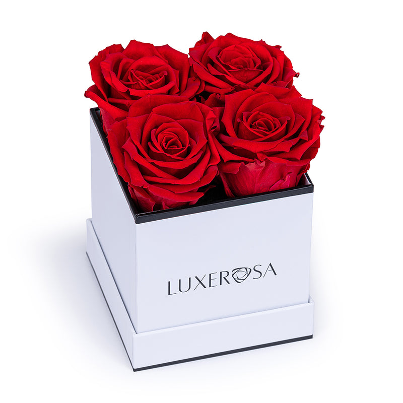 White, Small Square Infinity Rose Box